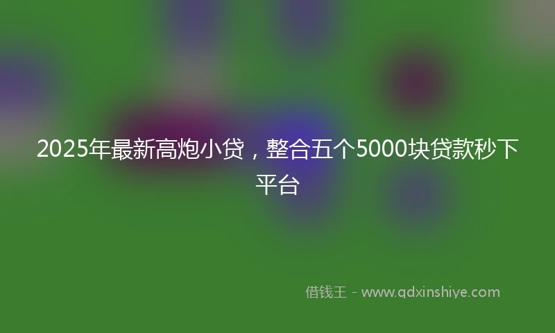 2025年最新高炮小贷，整合五个5000块贷款秒下平台