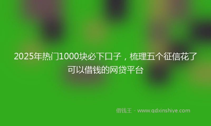2025年热门1000块必下口子，梳理五个征信花了可以借钱的网贷平台