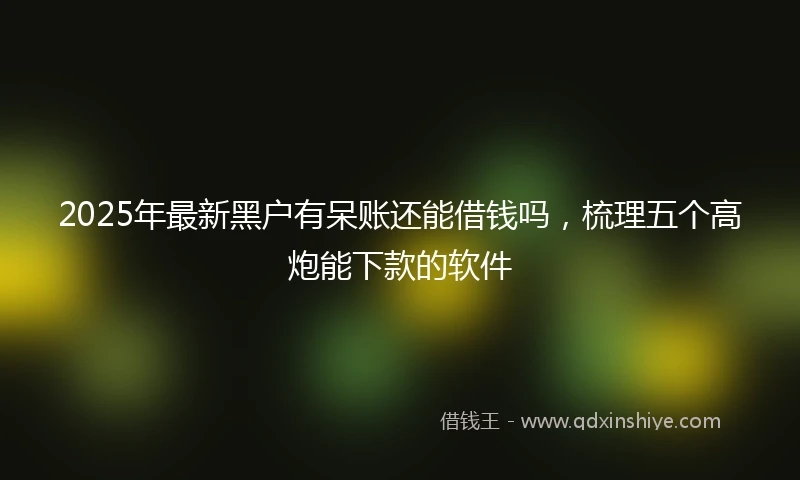 2025年最新黑户有呆账还能借钱吗，梳理五个高炮能下款的软件