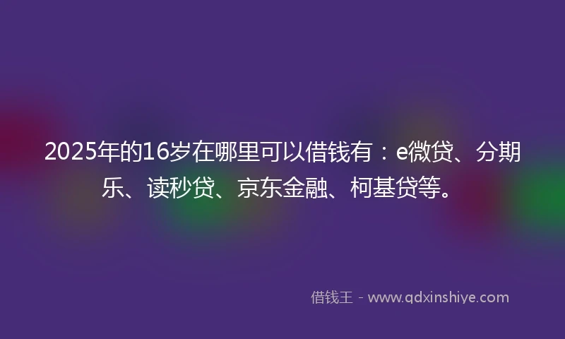 2025年的16岁在哪里可以借钱有：e微贷、分期乐、读秒贷、京东金融、柯基贷等。