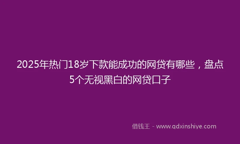 2025年热门18岁下款能成功的网贷有哪些，盘点5个无视黑白的网贷口子