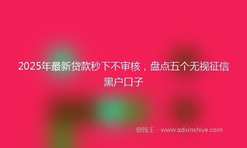 2025年最新贷款秒下不审核，盘点五个无视征信黑户口子