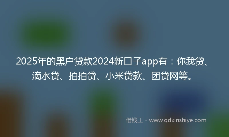 2025年的黑户贷款2024新口子app有：你我贷、滴水贷、拍拍贷、小米贷款、团贷网等。