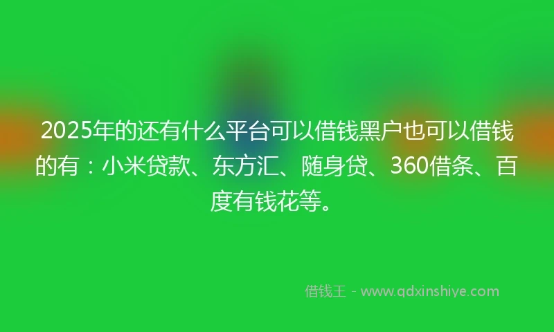 2025年的还有什么平台可以借钱黑户也可以借钱的有：小米贷款、东方汇、随身贷、360借条、百度有钱花等。