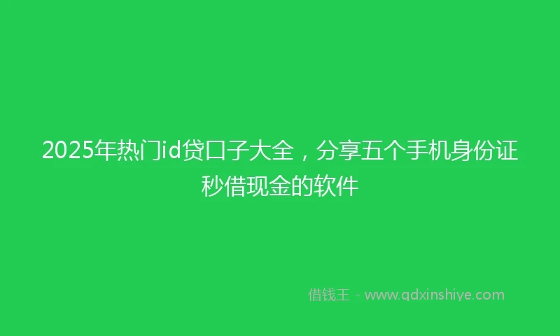 2025年热门id贷口子大全，分享五个手机身份证秒借现金的软件