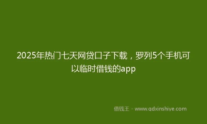 2025年热门七天网贷口子下载，罗列5个手机可以临时借钱的app