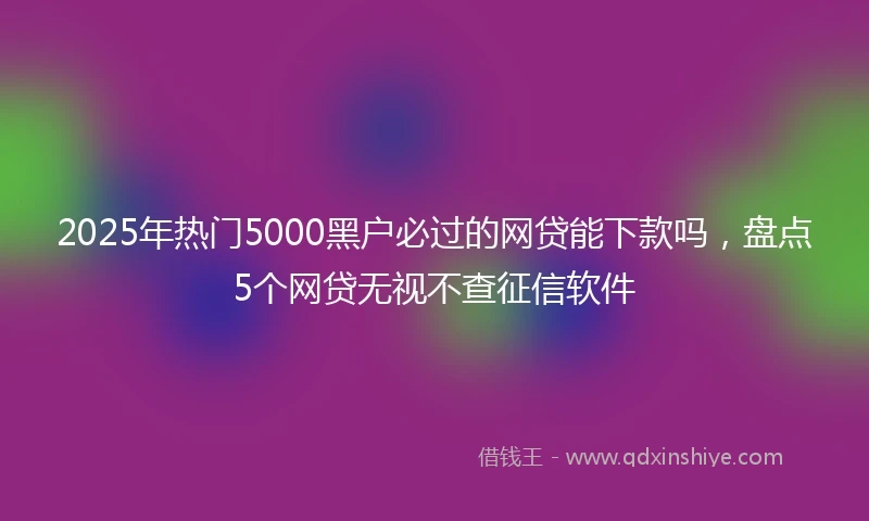2025年热门5000黑户必过的网贷能下款吗，盘点5个网贷无视不查征信软件