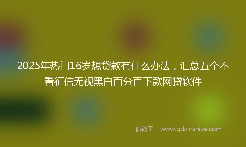 2025年热门16岁想贷款有什么办法，汇总五个不看征信无视黑白百分百下款网贷软件
