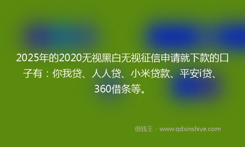 2025年的2020无视黑白无视征信申请就下款的口子有：你我贷、人人贷、小米贷款、平安i贷、360借条等。