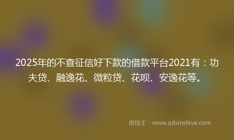 2025年的不查征信好下款的借款平台2021有：功夫贷、融逸花、微粒贷、花呗、安逸花等。