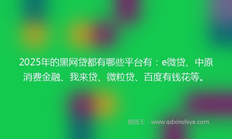 2025年的黑网贷都有哪些平台有：e微贷、中原消费金融、我来贷、微粒贷、百度有钱花等。