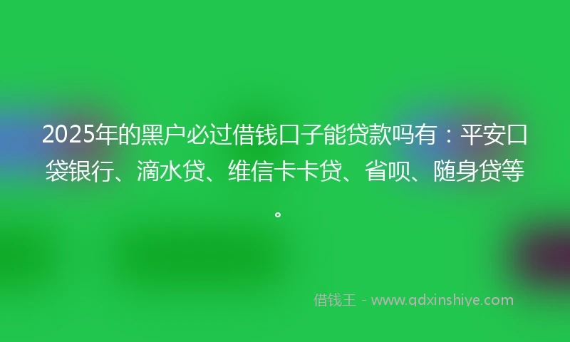 2025年的黑户必过借钱口子能贷款吗有：平安口袋银行、滴水贷、维信卡卡贷、省呗、随身贷等。