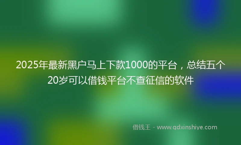 2025年最新黑户马上下款1000的平台，总结五个20岁可以借钱平台不查征信的软件
