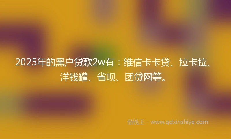 2025年的黑户贷款2w有：维信卡卡贷、拉卡拉、洋钱罐、省呗、团贷网等。