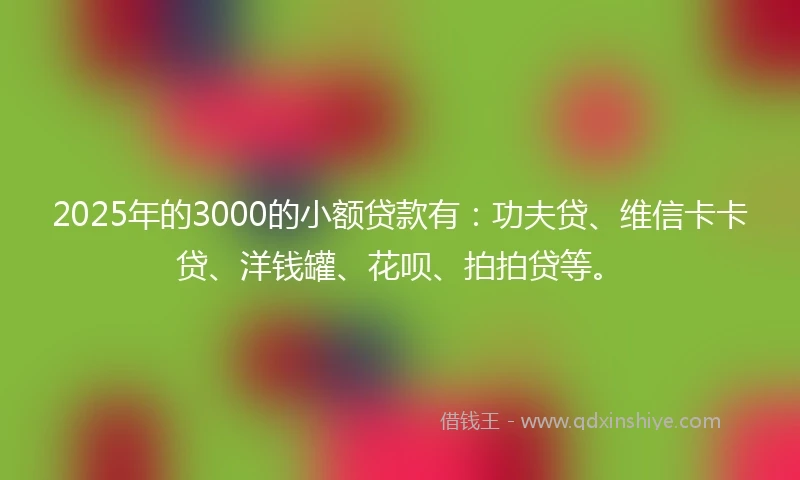 2025年的3000的小额贷款有：功夫贷、维信卡卡贷、洋钱罐、花呗、拍拍贷等。