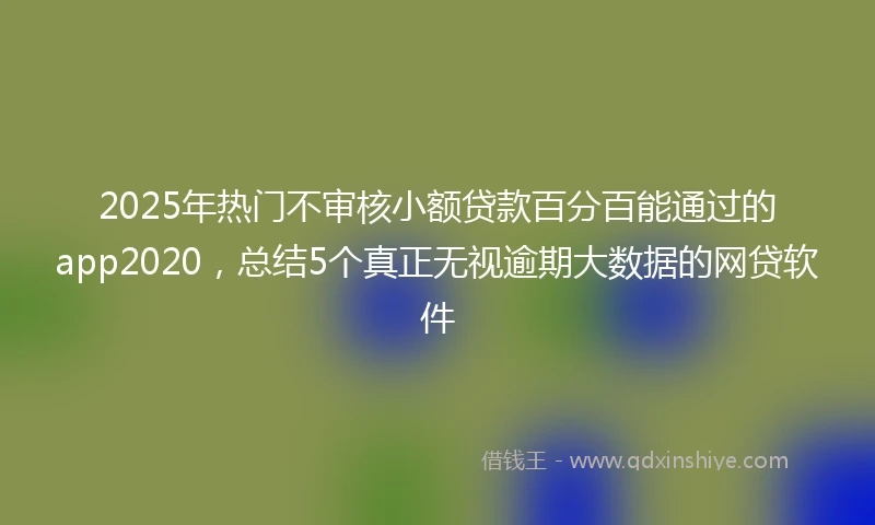 2025年热门不审核小额贷款百分百能通过的app2020，总结5个真正无视逾期大数据的网贷软件