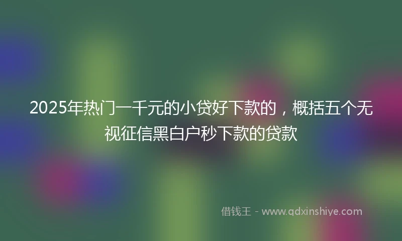 2025年热门一千元的小贷好下款的，概括五个无视征信黑白户秒下款的贷款