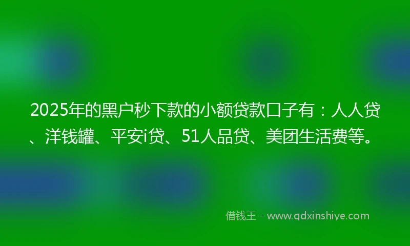 2025年的黑户秒下款的小额贷款口子有：人人贷、洋钱罐、平安i贷、51人品贷、美团生活费等。