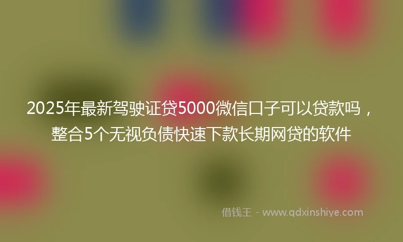 2025年最新驾驶证贷5000微信口子可以贷款吗，整合5个无视负债快速下款长期网贷的软件
