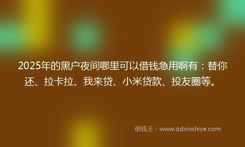 2025年的黑户夜间哪里可以借钱急用啊有：替你还、拉卡拉、我来贷、小米贷款、投友圈等。
