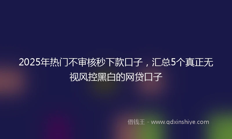 2025年热门不审核秒下款口子，汇总5个真正无视风控黑白的网贷口子