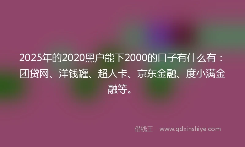 2025年的2020黑户能下2000的口子有什么有：团贷网、洋钱罐、超人卡、京东金融、度小满金融等。