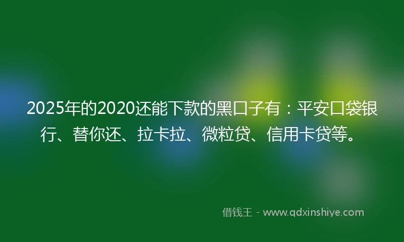 2025年的2020还能下款的黑口子有：平安口袋银行、替你还、拉卡拉、微粒贷、信用卡贷等。