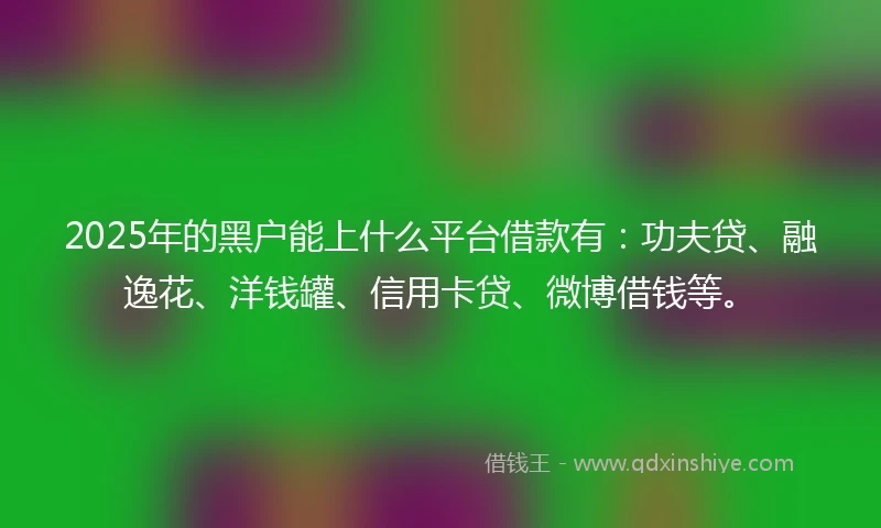 2025年的黑户能上什么平台借款有：功夫贷、融逸花、洋钱罐、信用卡贷、微博借钱等。