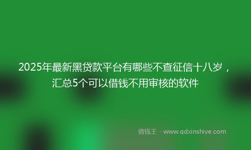 2025年最新黑贷款平台有哪些不查征信十八岁，汇总5个可以借钱不用审核的软件