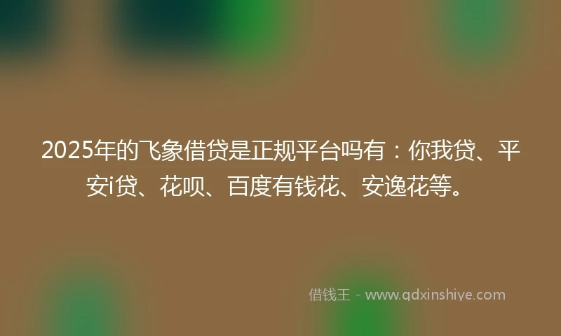 2025年的飞象借贷是正规平台吗有：你我贷、平安i贷、花呗、百度有钱花、安逸花等。