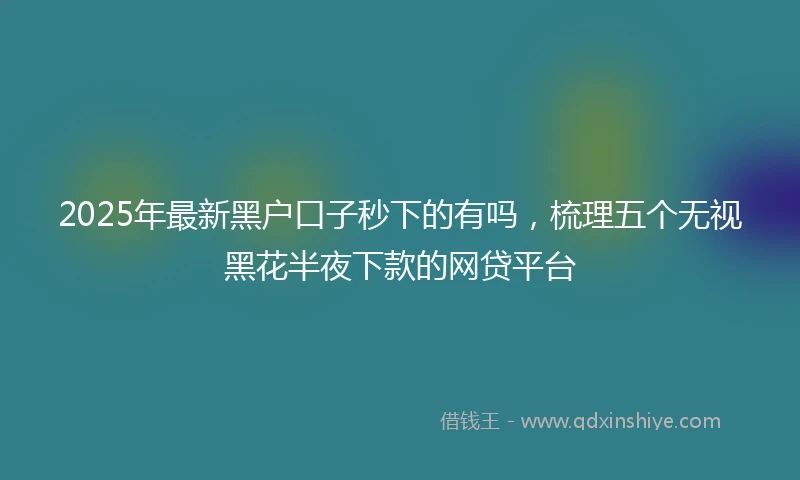 2025年最新黑户口子秒下的有吗，梳理五个无视黑花半夜下款的网贷平台