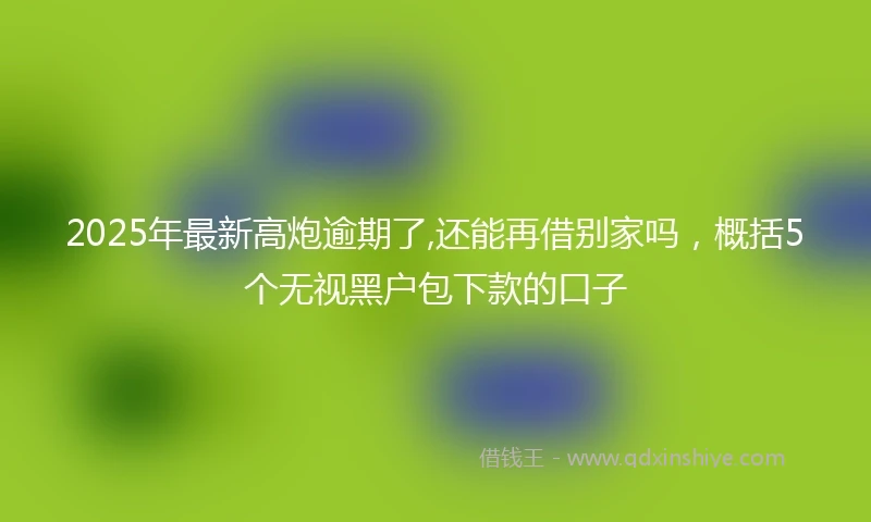 2025年最新高炮逾期了,还能再借别家吗，概括5个无视黑户包下款的口子