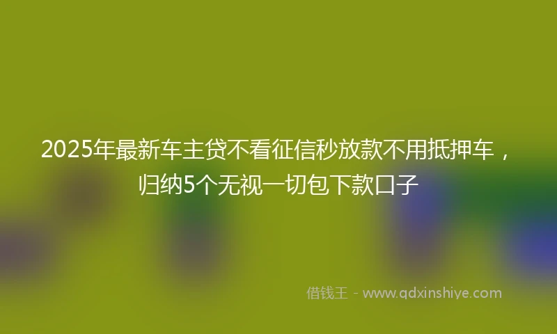 2025年最新车主贷不看征信秒放款不用抵押车，归纳5个无视一切包下款口子