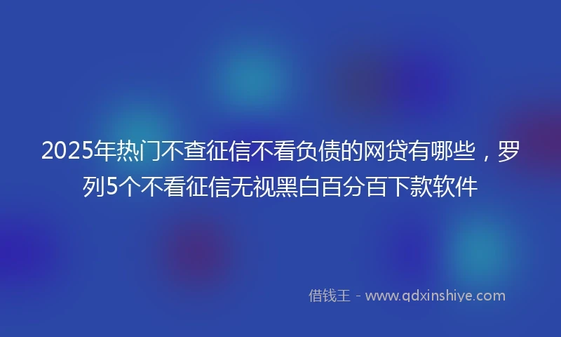 2025年热门不查征信不看负债的网贷有哪些，罗列5个不看征信无视黑白百分百下款软件