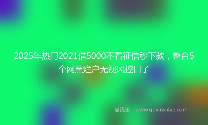 2025年热门2021借5000不看征信秒下款，整合5个网黑烂户无视风控口子
