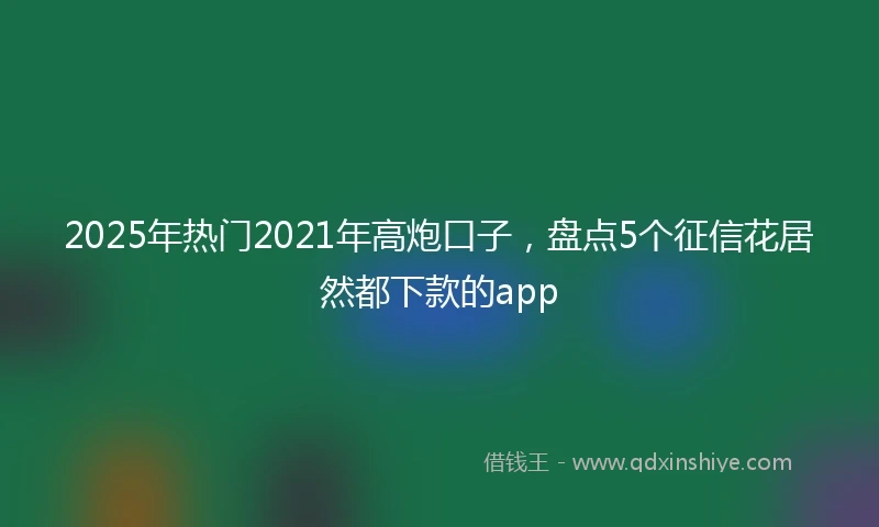 2025年热门2021年高炮口子，盘点5个征信花居然都下款的app