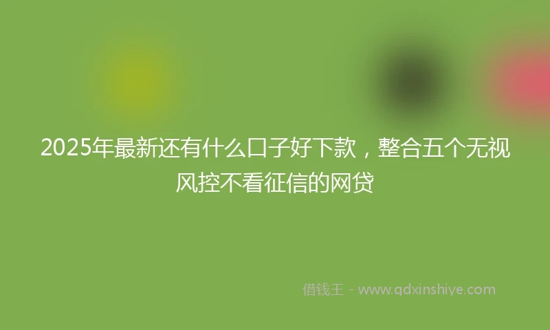 2025年最新还有什么口子好下款，整合五个无视风控不看征信的网贷