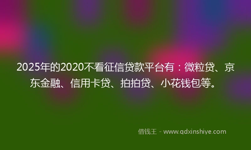 2025年的2020不看征信贷款平台有：微粒贷、京东金融、信用卡贷、拍拍贷、小花钱包等。