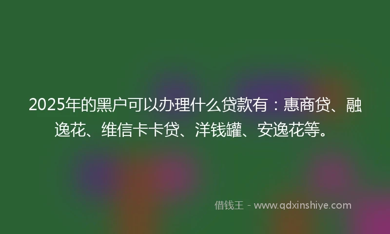 2025年的黑户可以办理什么贷款有：惠商贷、融逸花、维信卡卡贷、洋钱罐、安逸花等。