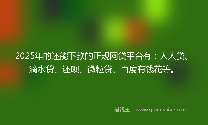 2025年的还能下款的正规网贷平台有：人人贷、滴水贷、还呗、微粒贷、百度有钱花等。
