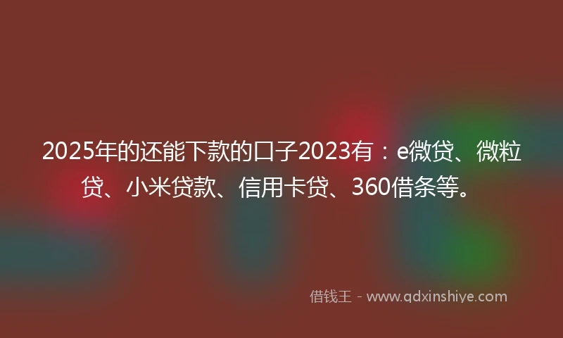2025年的还能下款的口子2023有：e微贷、微粒贷、小米贷款、信用卡贷、360借条等。