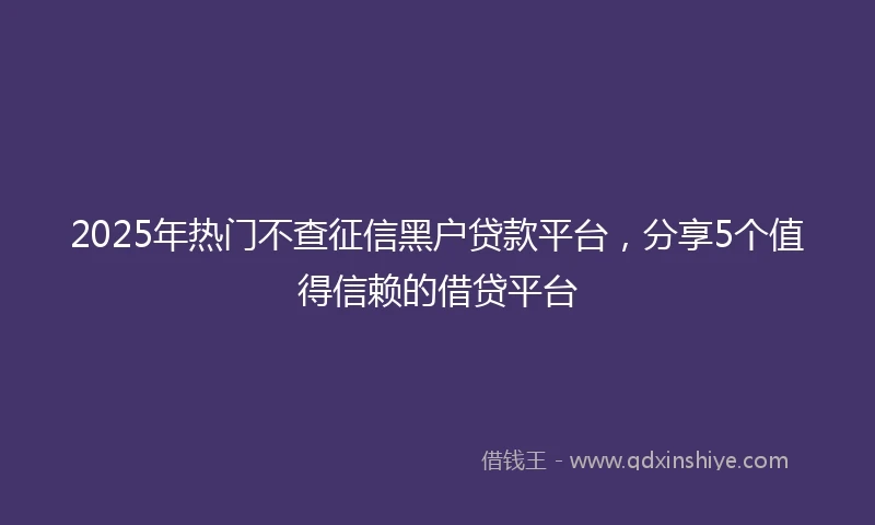 2025年热门不查征信黑户贷款平台，分享5个值得信赖的借贷平台