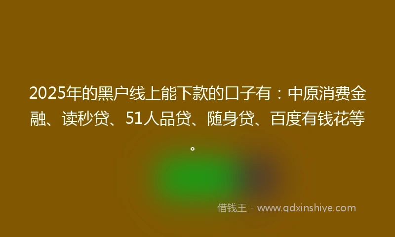2025年的黑户线上能下款的口子有：中原消费金融、读秒贷、51人品贷、随身贷、百度有钱花等。