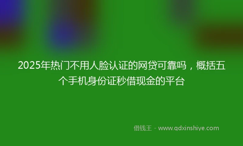2025年热门不用人脸认证的网贷可靠吗，概括五个手机身份证秒借现金的平台