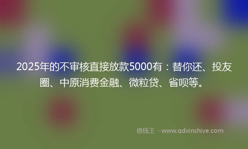 2025年的不审核直接放款5000有：替你还、投友圈、中原消费金融、微粒贷、省呗等。