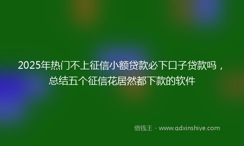 2025年热门不上征信小额贷款必下口子贷款吗，总结五个征信花居然都下款的软件