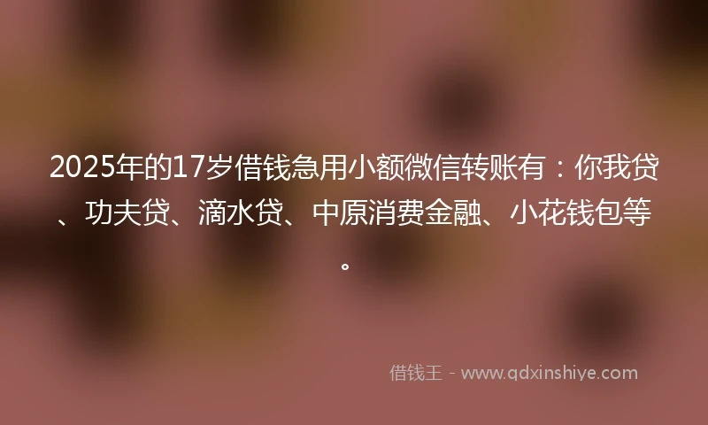 2025年的17岁借钱急用小额微信转账有：你我贷、功夫贷、滴水贷、中原消费金融、小花钱包等。