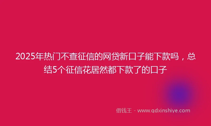 2025年热门不查征信的网贷新口子能下款吗，总结5个征信花居然都下款了的口子