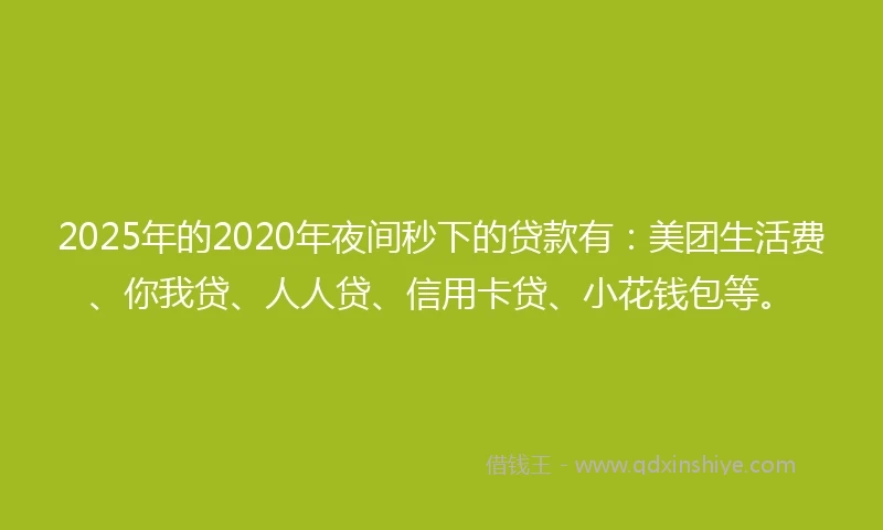 2025年的2020年夜间秒下的贷款有：美团生活费、你我贷、人人贷、信用卡贷、小花钱包等。