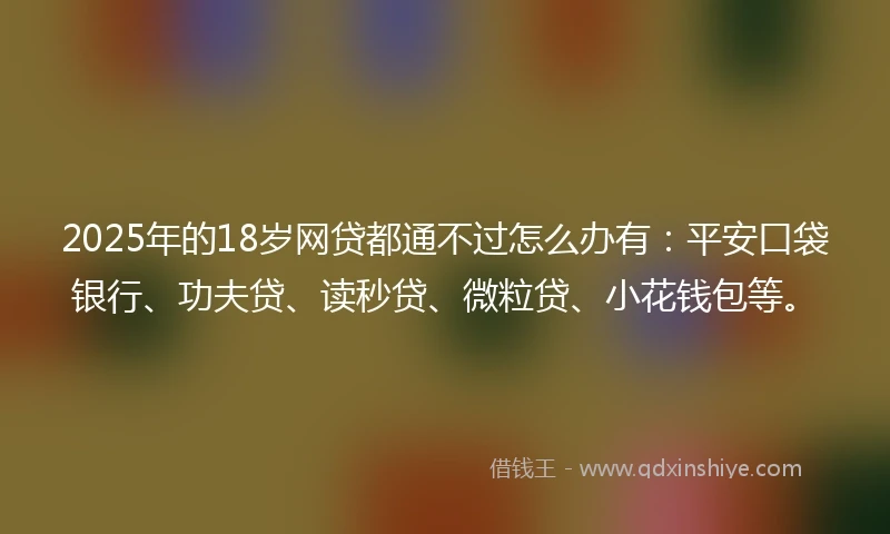 2025年的18岁网贷都通不过怎么办有：平安口袋银行、功夫贷、读秒贷、微粒贷、小花钱包等。